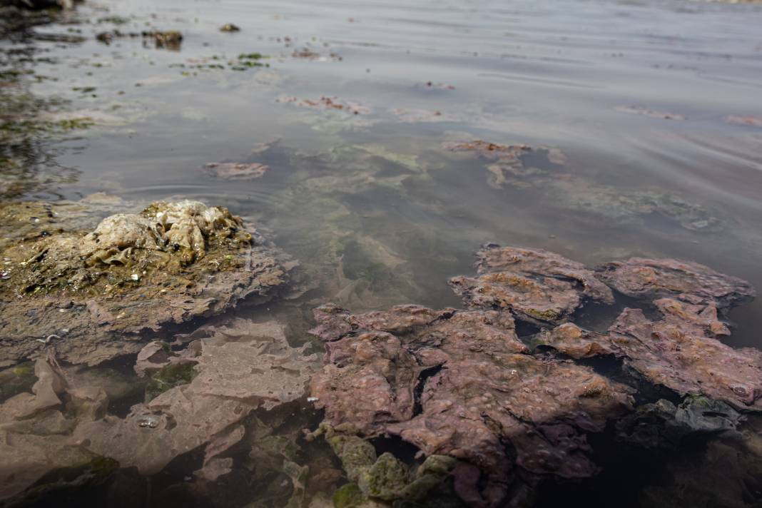 İzmir’de denizin rengi değişti! Görüntü ne ifade ediyor? - Resim: 28